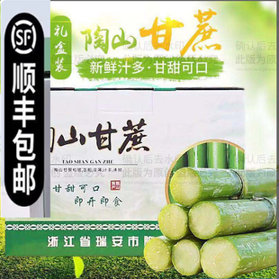 顺丰陶山甘蔗新鲜青皮绿皮甘蔗孕妇应季 果蔗温州特产现砍现发5斤