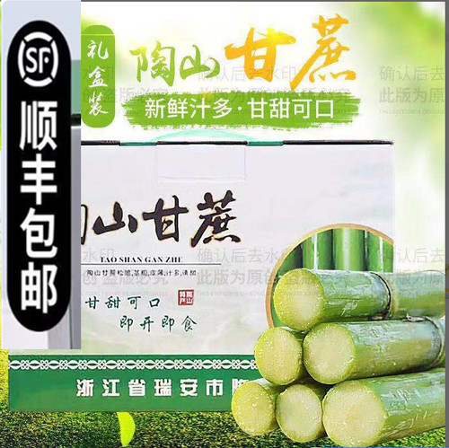陶山甘蔗新鲜青皮绿皮甘蔗