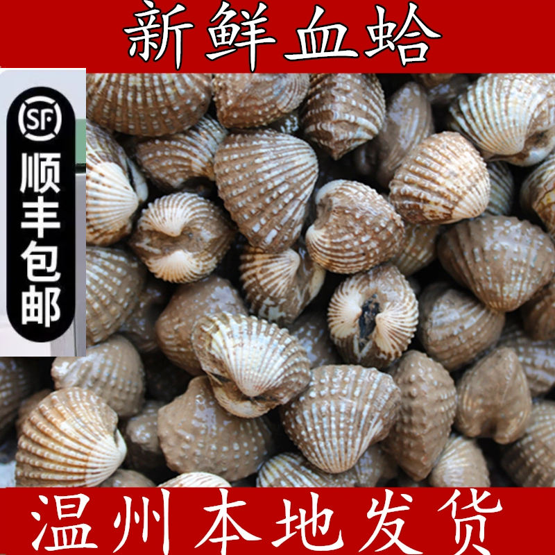 顺丰正宗温州乐清瑞安三门血哈花蛤血蛤肉美味活蛤海鲜雪蛤血蛤蜊
