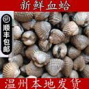 顺丰正宗温州乐清瑞安三门血哈花蛤血蛤肉美味活蛤海鲜雪蛤血蛤蜊
