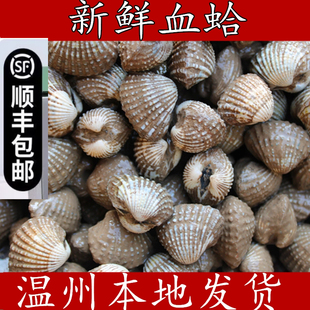 顺丰正宗温州乐清瑞安三门血哈花蛤血蛤肉美味活蛤海鲜雪蛤血蛤蜊