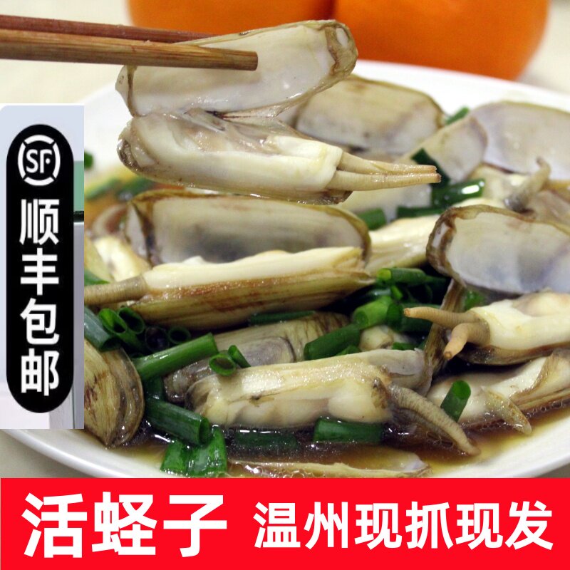 温州特产蛏子鲜活新鲜蛏子肉海鲜水产竹节蛏双头蛏子贝类蚬子海宁