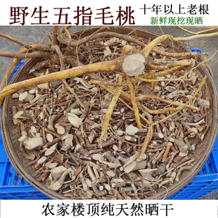 十年深山五指毛桃野生土茯苓中药材纯天然晒干新鲜现挖五爪龙中根
