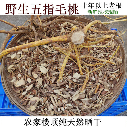 野生五指毛桃根 土茯苓中药材 纯天然晒干新鲜现挖五爪龙煲汤香料