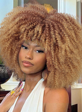 Synthetic Kinky Curly Hair Wig外贸欧美非洲黑人小卷蓬松假发套