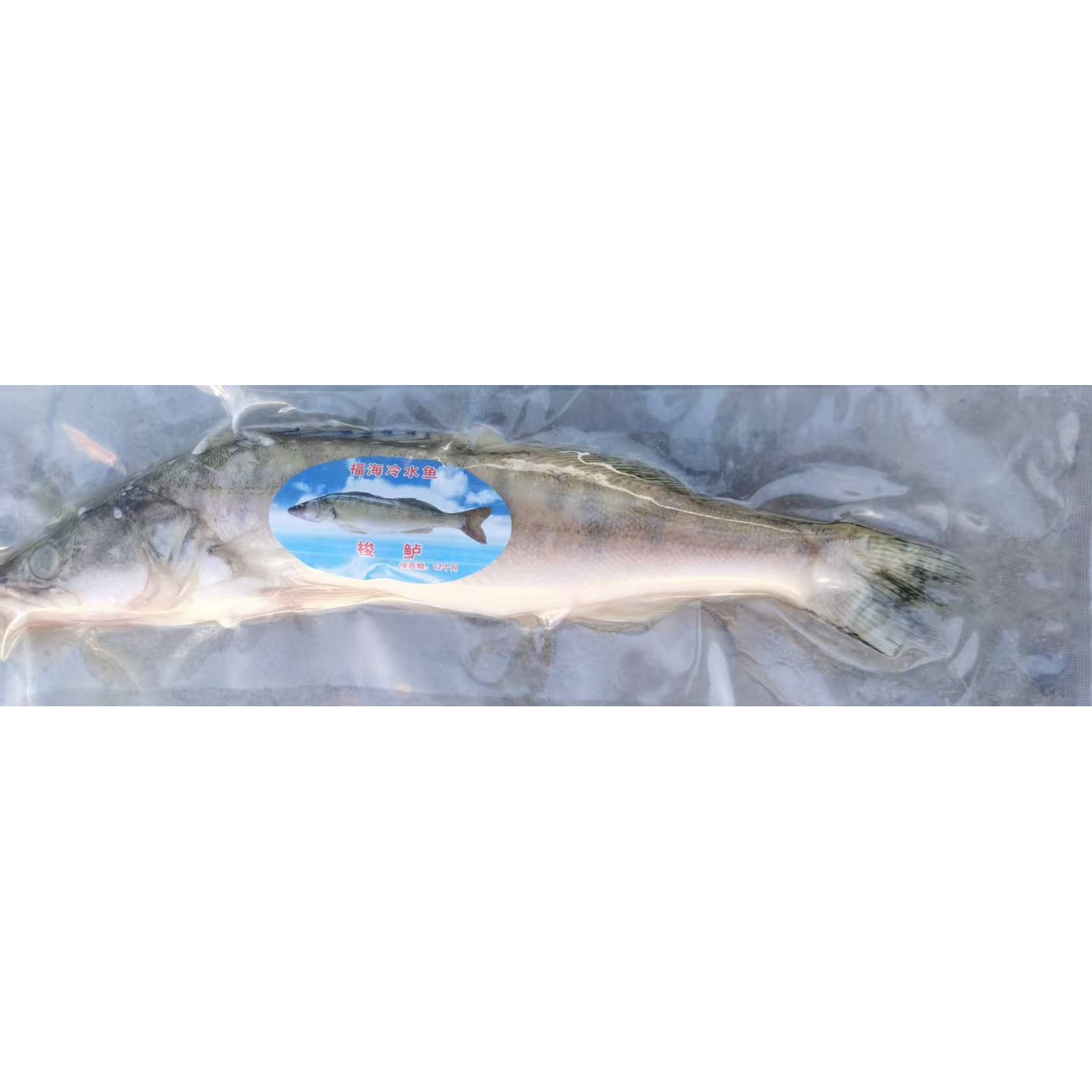 新疆福海天鹅湖有机冷水鱼 梭鲈(九道黑)