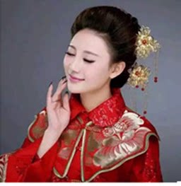 Extension cheveux - Chignon - Ref 236358 Image 4