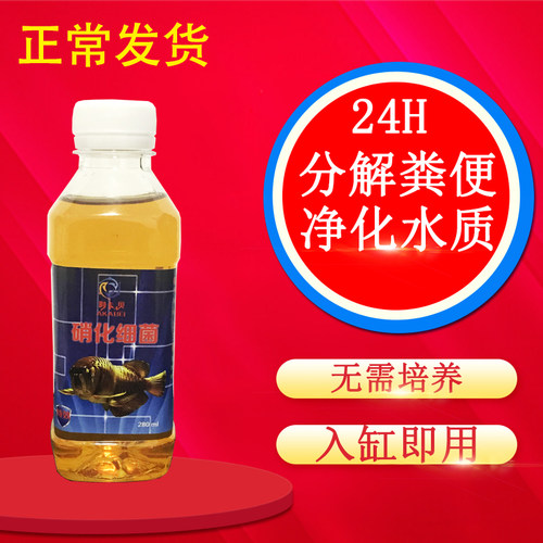 硝化细菌硝化菌消化鱼缸净水剂清