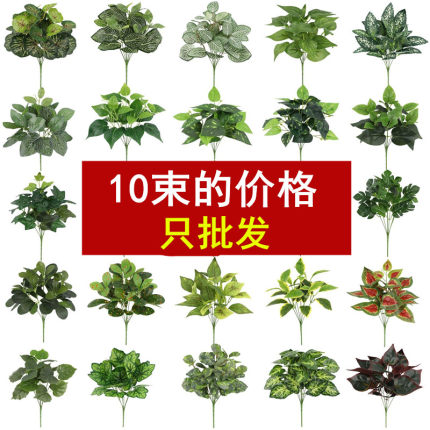 仿真绿植单束绿萝龟向日葵背叶波斯叶假花草跳兰菊塑胶花墙配饰叶