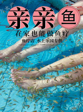 足疗鱼亲亲鱼在家也能做鱼疗