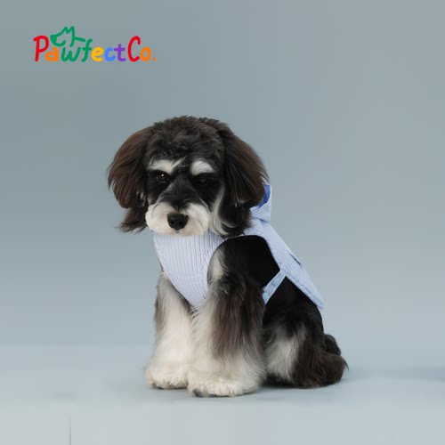 PawfectCo小型犬戴帽披风蓝色