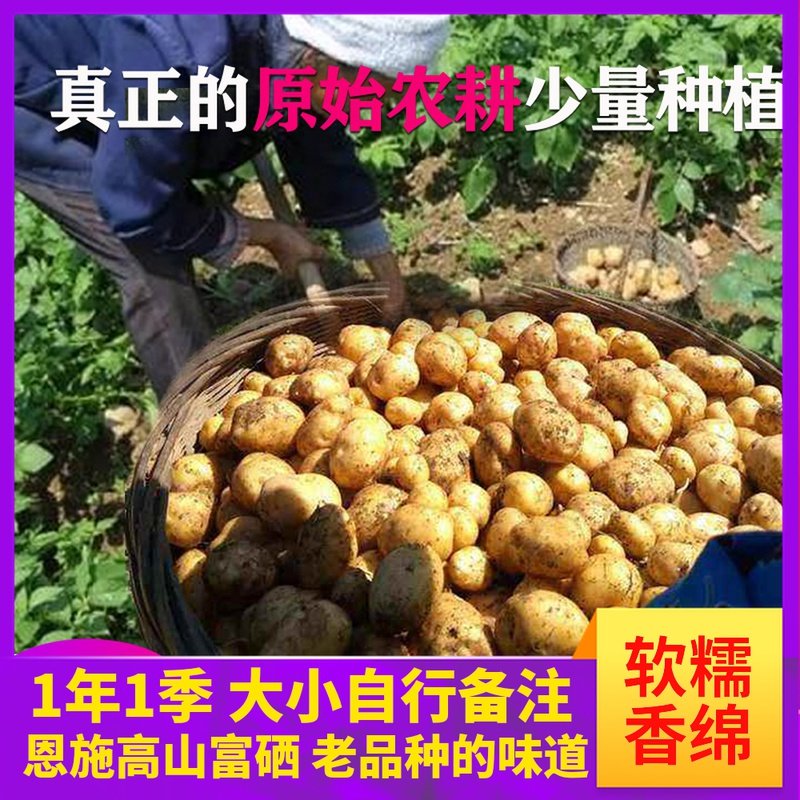【老品种】正宗恩施小土豆湖北富硒土豆马尔科农家新鲜高山洋芋,水产肉类/新鲜蔬果/熟食,土豆,淘宝优惠券,粉丝福利购,淘宝优惠卷