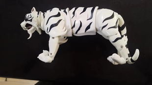 Yoyo白虎 黑虎 白炎王黑炎王 铠转 素体 盔甲