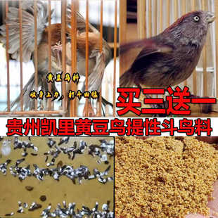 黄豆鸟食手工秘制凯里生头鸟食下山鸟料黄腾鸟饲料打口料500g包邮
