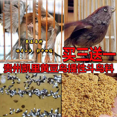 黄豆鸟食手工秘制凯里生头鸟食下山鸟料黄腾鸟饲料打口料500g包邮