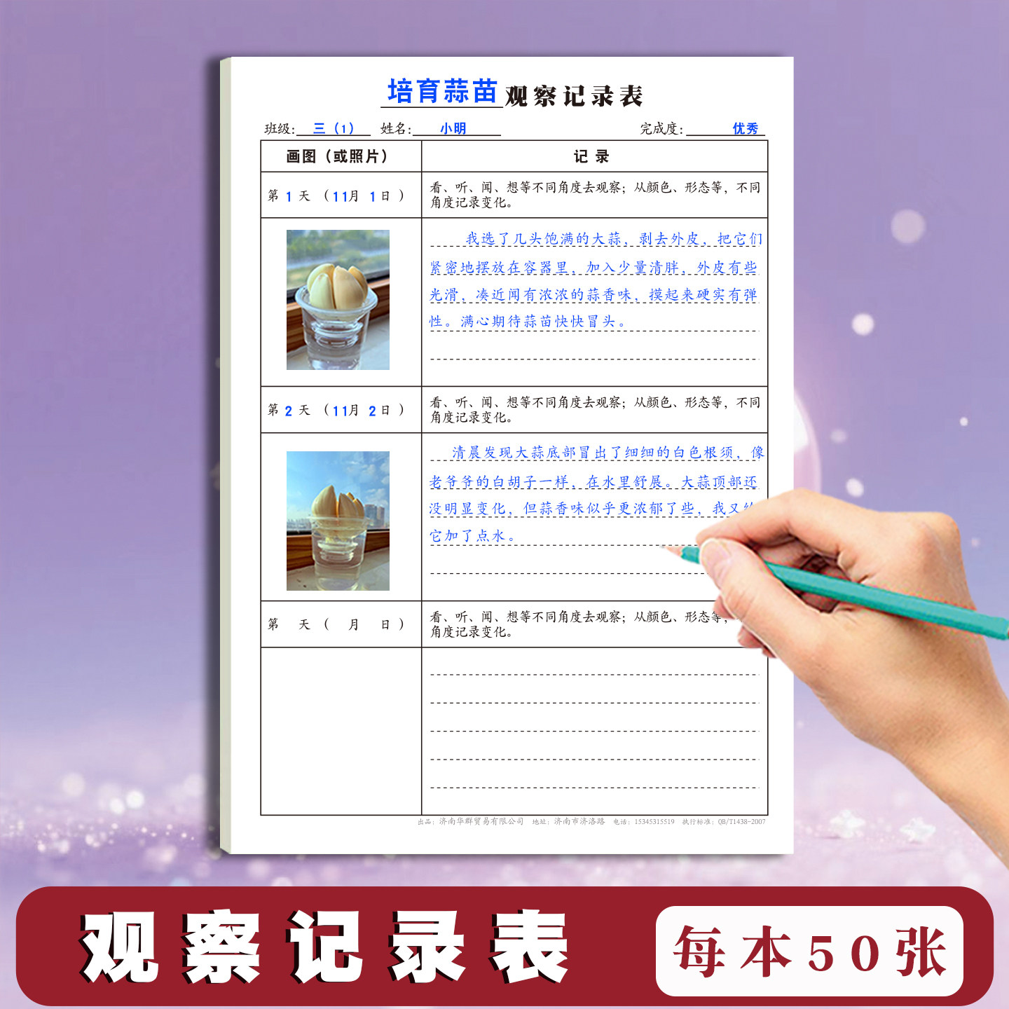 小学生二三年级科学观察记录表豆芽红薯白菜大蒜韭菜西红柿油菜白菜生