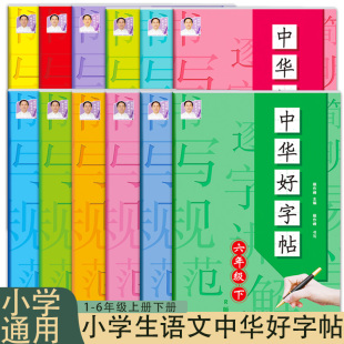 一年级二年级三年级四年级五年级六年级上册下册小学生语文课本教材同步生字写字练字贴笔画笔顺中华好字贴课后作业练习册写字课
