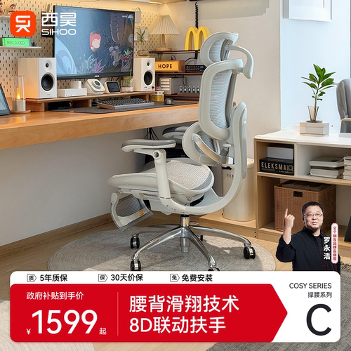 [罗永浩推荐]西昊C300二代工学椅