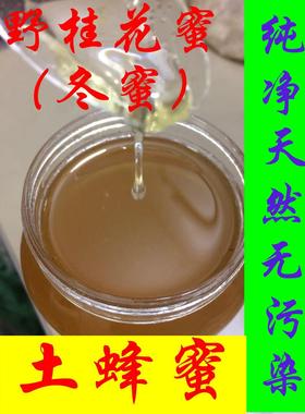 野桂花蜜冬蜜蜜中之王柃木花蜜纯正土蜂蜜正宗中华蜂优质成熟蜜