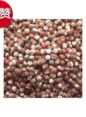 鸡头米芡实无硫干货大颗粒