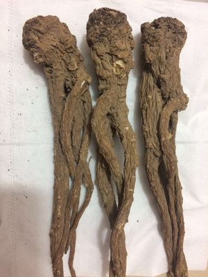 无硫当归品正味纯原色原味