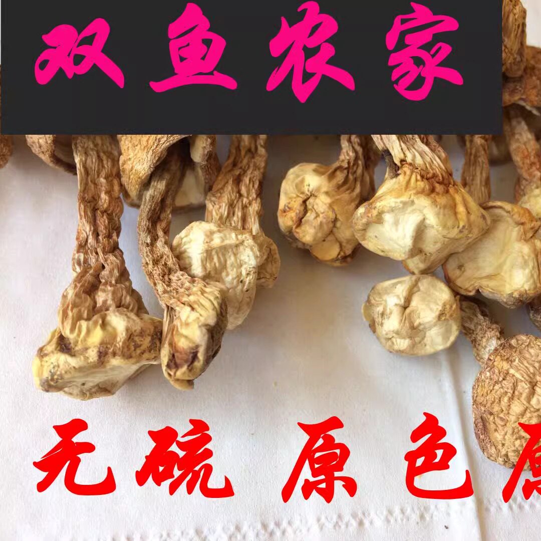 原色原味巴西菇无硫磺