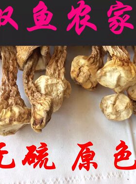 原色原味巴西菇无硫磺