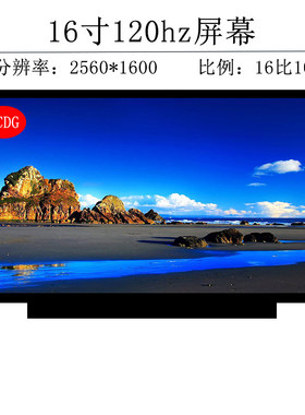 NE160QDM-NZB  NE160QDM-NZ5  NZ3  MNG007DA1-2 NE160QDM-NY1 B160QAN02.H B16QAN02.Q 2K 165HZ