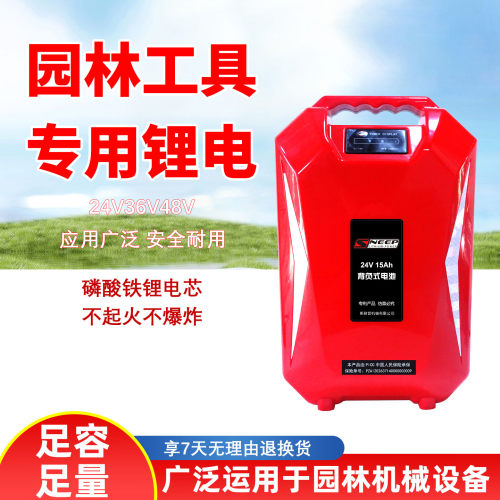 24V/36V/48V大容量背负锂电池
