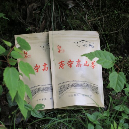 2026春新茶福建寿宁高山红茶张天福下乡的味道红茶散装袋装250g