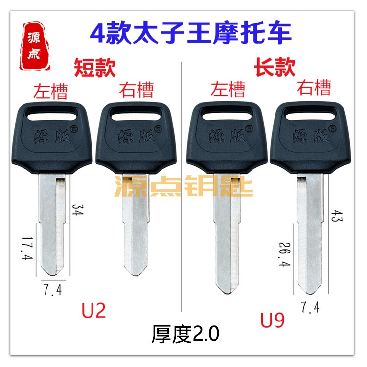 胶太子王摩托车电瓶车源点