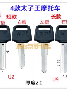 胶太子王摩托车电瓶车源点