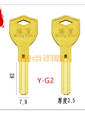 G2 新款鸿盾叶片 原装 卡施顿 钥匙坯 双面叶片 金色 源点钥匙