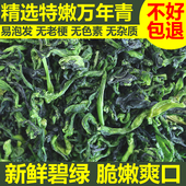 精选特嫩万年青菜干优质油菜嫩尖青菜干鲜嫩脱水菜芯蔬菜干橄榄菜