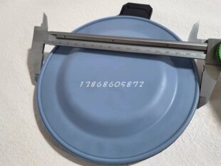 Prominent普罗名特计量泵配件加药泵膜片1029603隔膜片计量泵隔膜