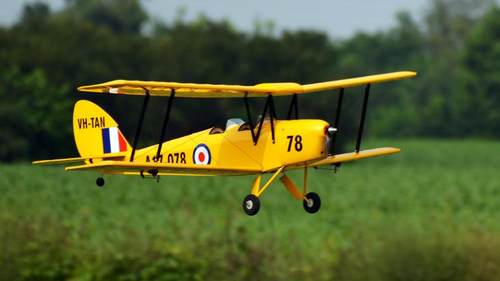 昊子推荐0.8M精致涂装虎蛾ARF