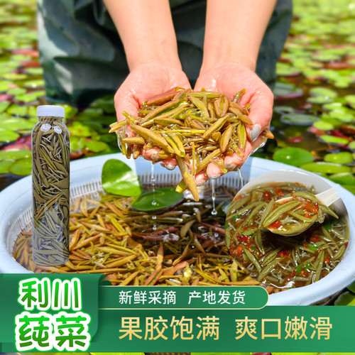 莼菜之乡利川2025年新鲜莼菜500g