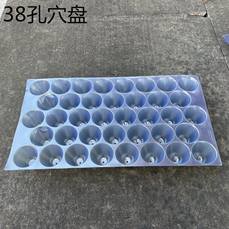 48/54/60/70孔育苗穴盘营养钵育苗钵盘.西瓜育苗辣椒玉米蔬菜烟草,鲜花速递/花卉仿真/绿植园艺,育苗盘/营养钵,淘宝优惠券,粉丝福利购,淘宝优惠卷