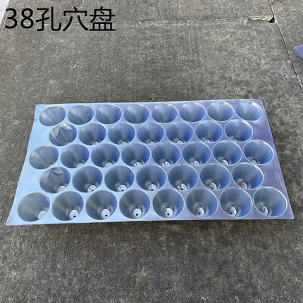玉米育苗盘蔬菜瓜果育苗塑料PVC材质圆孔穴盘辣椒哈密瓜盘烟草盘