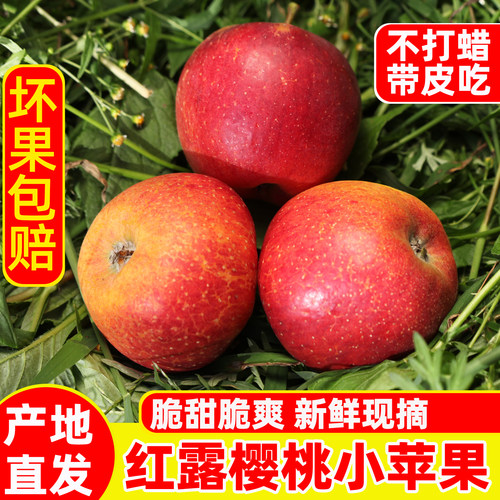昭通红露小苹果苹果新鲜现摘脆甜