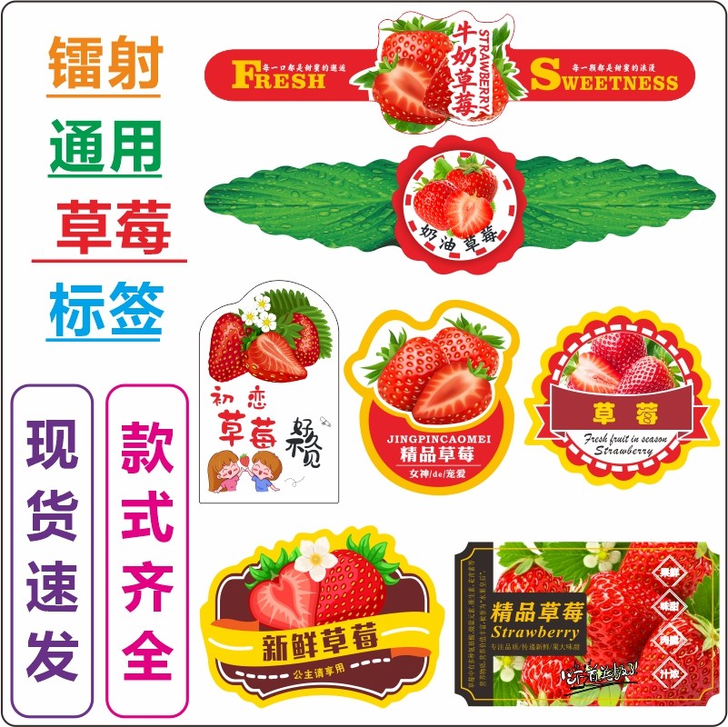 奶油草莓叶子草莓草莓腰封巧克力草莓新鲜草莓初恋草莓单个草莓