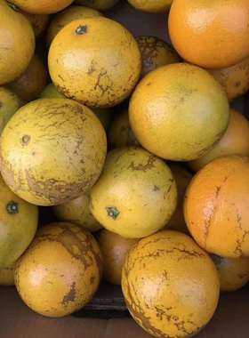 不正宗包赔纯甜褚-花斑果哀牢山冰糖橙当季新鲜水果橙子皮薄多汁