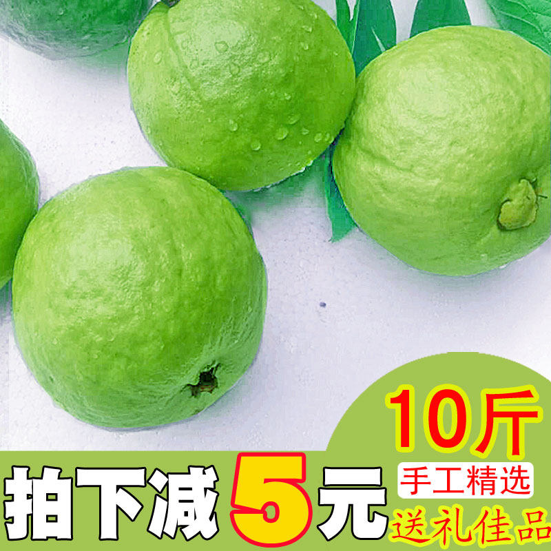 番石榴新鲜当季水果一箱爱心吃货助农藩蕃软糯广西白心芭乐9.8斤