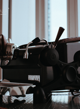 WOWA改装/单头slayer咖啡机改装哑光黑半透明侧板/意式咖啡机改装