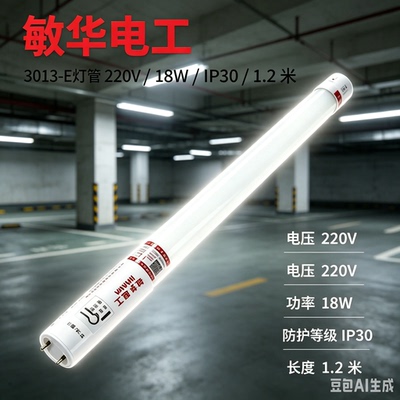 t8消防应急照明灯管双管日光灯1.2米支架应急灯LED荧光灯220V敏华