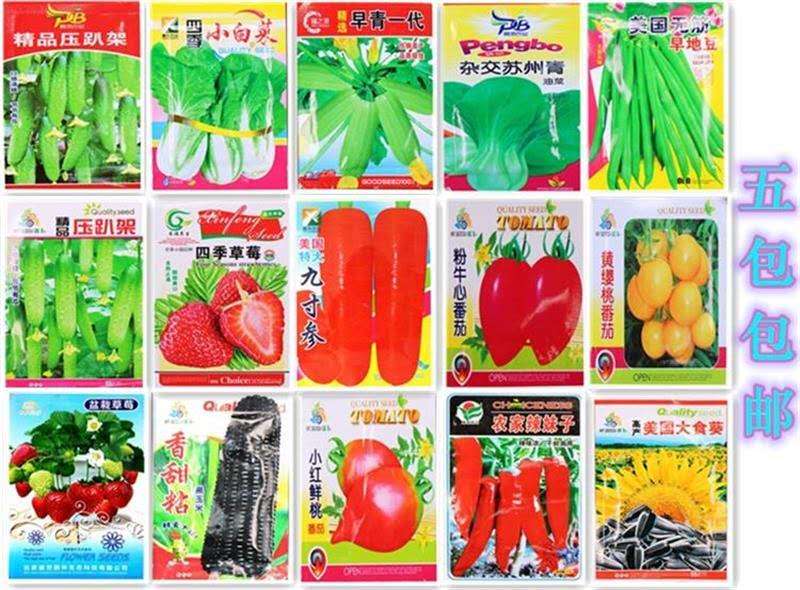 蔬菜种子四季播种家庭盆栽庭院四季种子菜种5包包邮