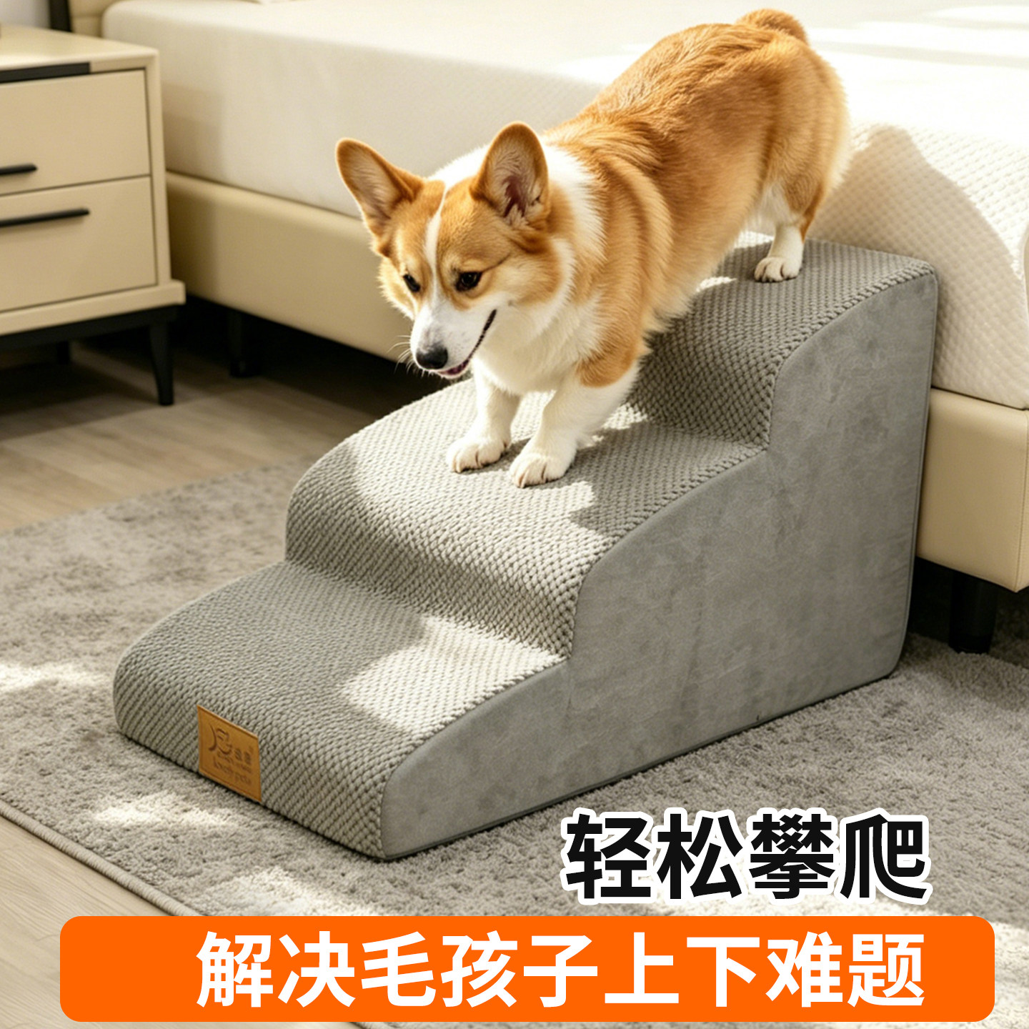 狗海绵小楼梯台阶上床小型高猫图片