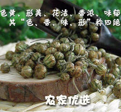 河南焦作温县特产怀府怀菊珍珠菊胎菊花草茶菊米散装