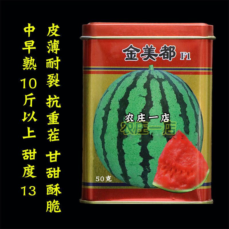 抗重茬早熟耐裂皮薄美都西瓜种子