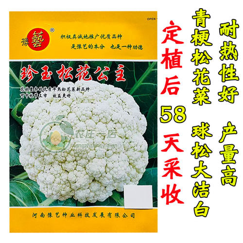 耐热青梗松花菜种子58天花菜种籽